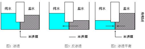  src=/up_files/image/Article/2011/10/31/38170571.jpg/></span></span></span></span></span></p><p style=text-align:left; LINE-HEIGHT: 140%><span style=font-size:12px;> </span></p><p></p><table style=WIDTH: 90% border=0 cellspacing=0 cellpadding=0 width=90% align=center><tbody><tr style=HEIGHT: 22px class=firstRow><td style=BORDER-BOTTOM-COLOR: #f8f8f9; PADDING-BOTTOM: 0cm; BORDER-TOP-COLOR: #f8f8f9; PADDING-LEFT: 0cm; PADDING-RIGHT: 0cm; HEIGHT: 22px; BORDER-RIGHT-COLOR: #f8f8f9; BORDER-LEFT-COLOR: #f8f8f9; PADDING-TOP: 0cm><p style=text-align:center; LINE-HEIGHT: 140%><span style=font-size:12px;><span style=font-family:宋體;><span style=color:black;> </span></span></span></p><p style=text-align:center; LINE-HEIGHT: 140%><span style=FONT-SIZE:12px><span style=FONT-FAMILY: 宋體><span style=color:black;><strong><span style=font-family:宋體;><span style=color:black;>下圖為反滲透原理圖及常規工藝流程圖:</span></span></strong></span></span></span></p></td></tr><tr style=HEIGHT: 22px><td style=BORDER-BOTTOM-COLOR: #f8f8f9; PADDING-BOTTOM: 0cm; BORDER-TOP-COLOR: #f8f8f9; PADDING-LEFT: 0cm; PADDING-RIGHT: 0cm; HEIGHT: 22px; BORDER-RIGHT-COLOR: #f8f8f9; BORDER-LEFT-COLOR: #f8f8f9; PADDING-TOP: 0cm><p style=text-align:center; LINE-HEIGHT: 140%><span style=FONT-SIZE:12px><span style=FONT-FAMILY: 宋體><span style=color:black;><span style=font-family:宋體;><span style=color:black;><img style=WIDTH: 380.25pt; HEIGHT: 129pt alt=
